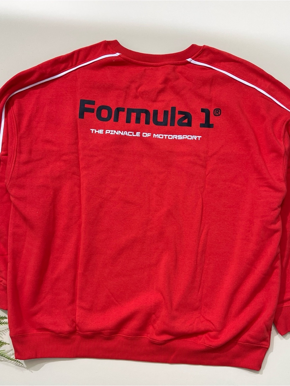 Formula 1 Red 'Pit Crew Team' Racing Sweatshirt Size 3X NWT - Picture 2 of 4